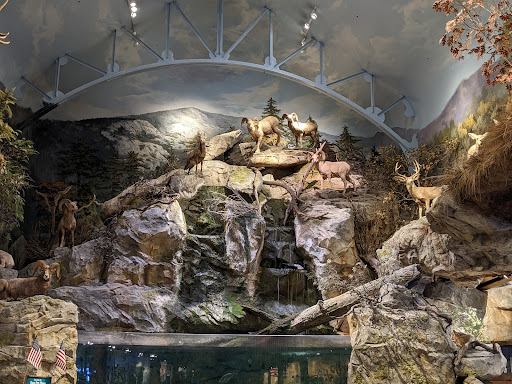 Sporting Goods Store «Bass Pro Shops», reviews and photos, 5160 Cherry Ave, San Jose, CA 95118, USA