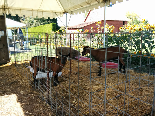 Market «E Z Orchards Farm Market», reviews and photos, 5504 Hazelgreen Rd NE, Salem, OR 97305, USA