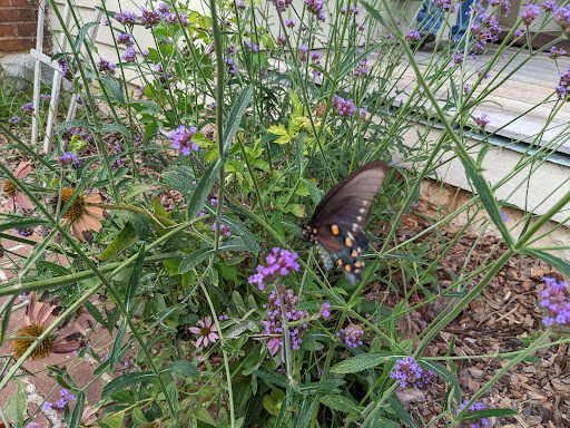 Battle Site «Fort Donelson National Battlefield», reviews and photos, 120 Lock D Rd, Dover, TN 37058, USA