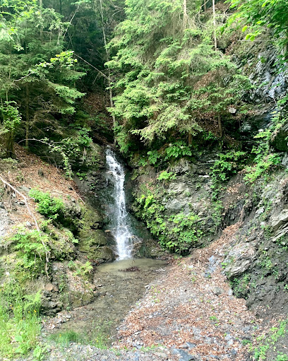 Steindorfer Wasserfall