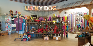 Lucky Dog Outfitters Gig Harbor