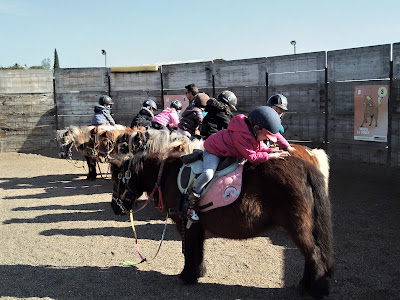 Poney Ranch de la Crau à La Crau