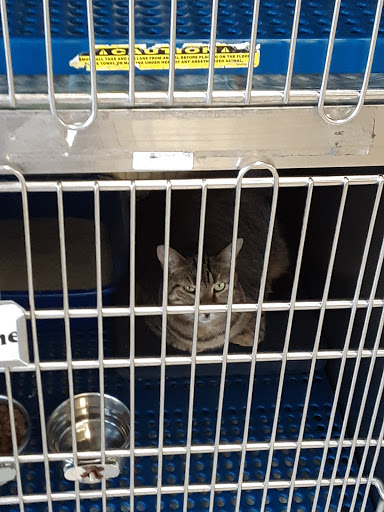 Pet Store «Petsense Enterprise», reviews and photos, 621 Boll Weevil Cir, Enterprise, AL 36330, USA