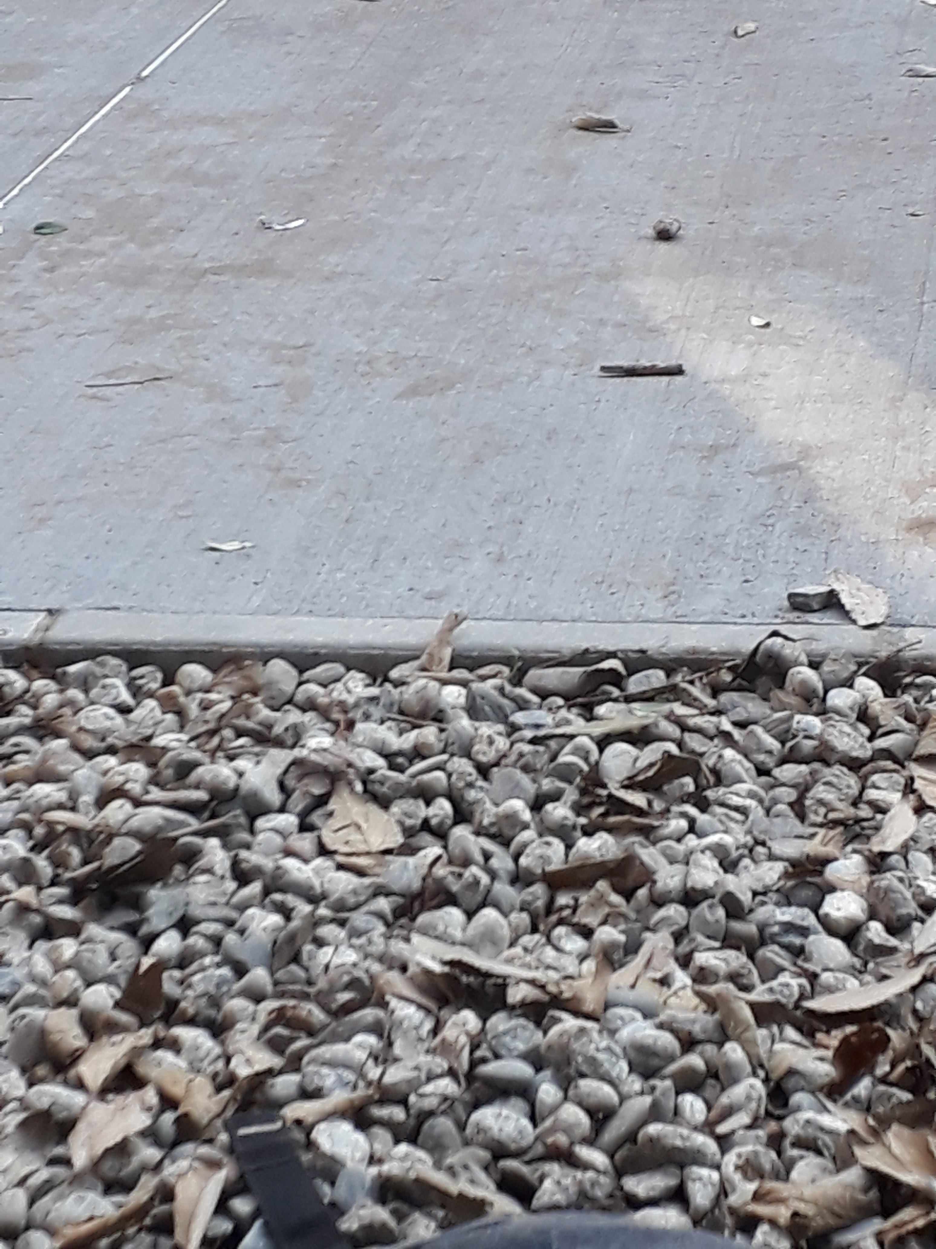 Photo n° 38 de l'avis de William.m fait le 11/12/2018 à 12:09