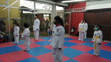 Taekwondo, Tigres Blancos, Dae Han, San PabloAutopan,.