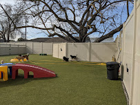 Animal Den - Photo 5 - Car repair in Sacramento, CA, Sacramento