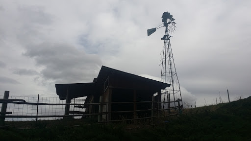 Winery «Tunnel Hill Winery», reviews and photos, 37 US-97 ALT, Chelan, WA 98816, USA