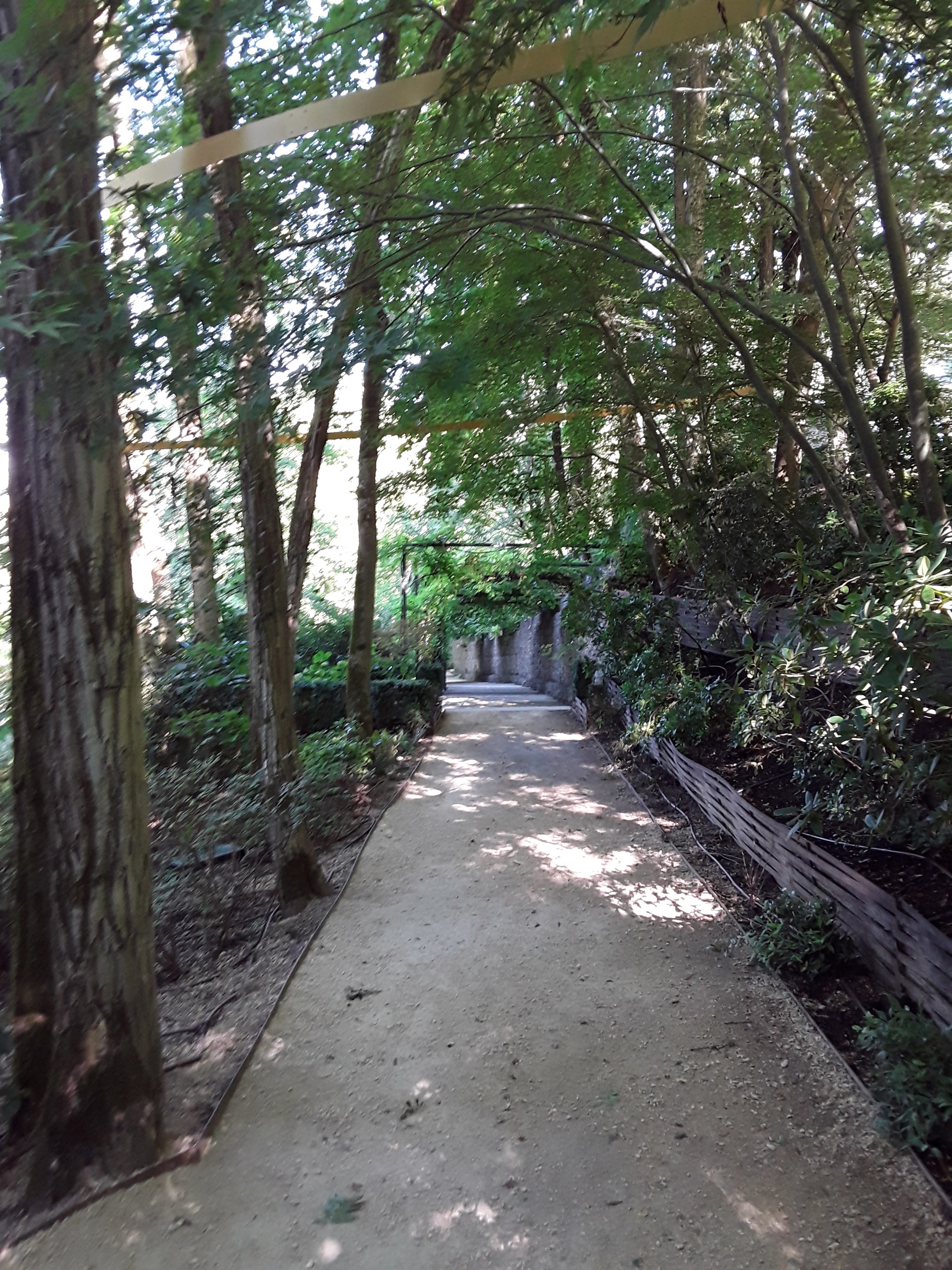 Photo n° 18 de l'avis de Fabien.e fait le 02/09/2019 à 17:51