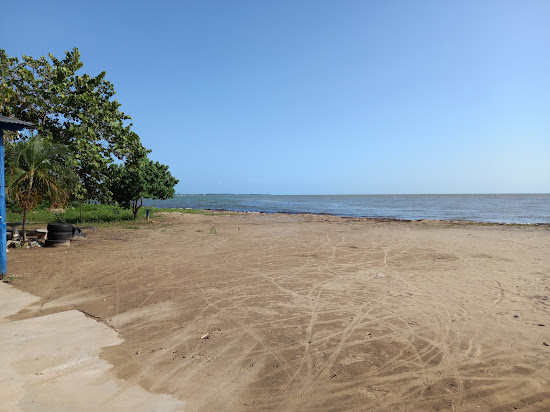 Parotee Free Beach
