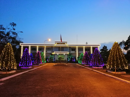 Top 20 cửa hàng gỗ Huyện Vị Thủy Hậu Giang 2022