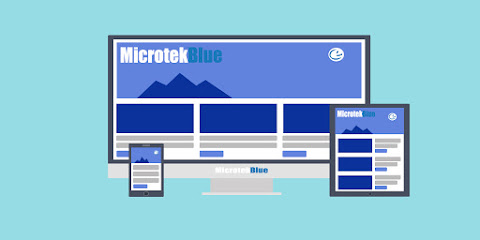 MicrotekBlue Inc
