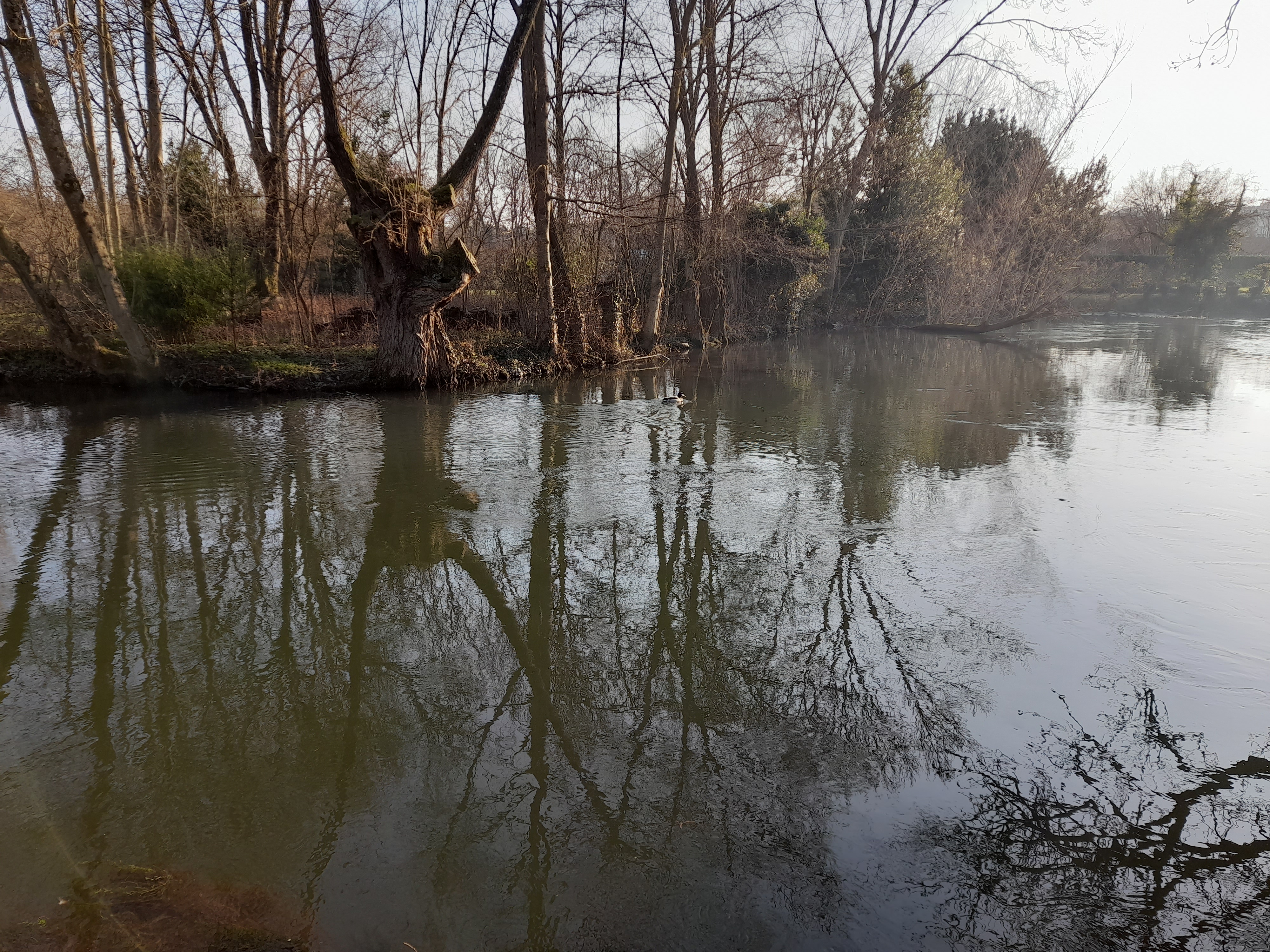 Photo n° 31 de l'avis de gilles.a fait le 11/02/2023 à 23:07