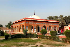 Shrine Hazrat Peer Syed Waris Shah image