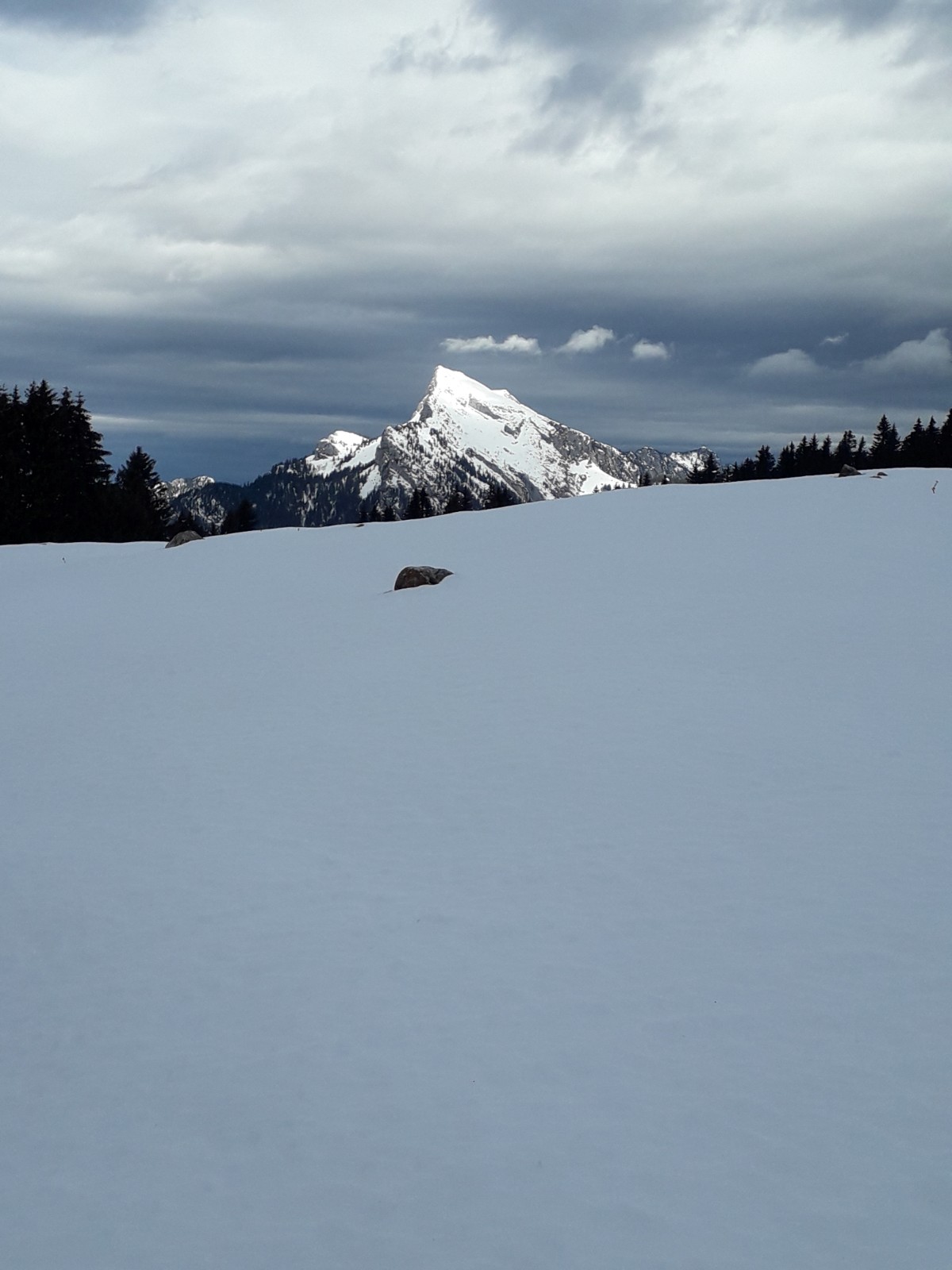 Photo n° 1 de l'avis de Jean.a fait le 15/02/2021 à 06:54