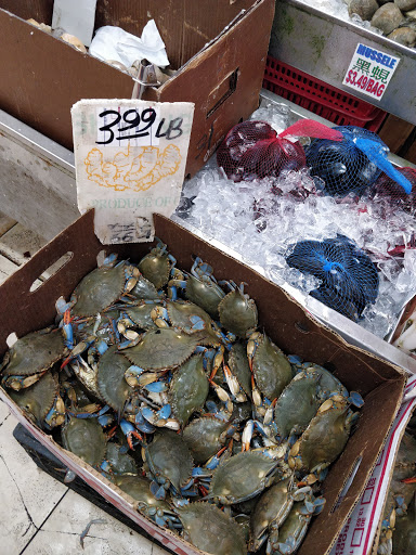 Grocery Store «Ace Market», reviews and photos, 6511 Bay Pkwy, Brooklyn, NY 11204, USA