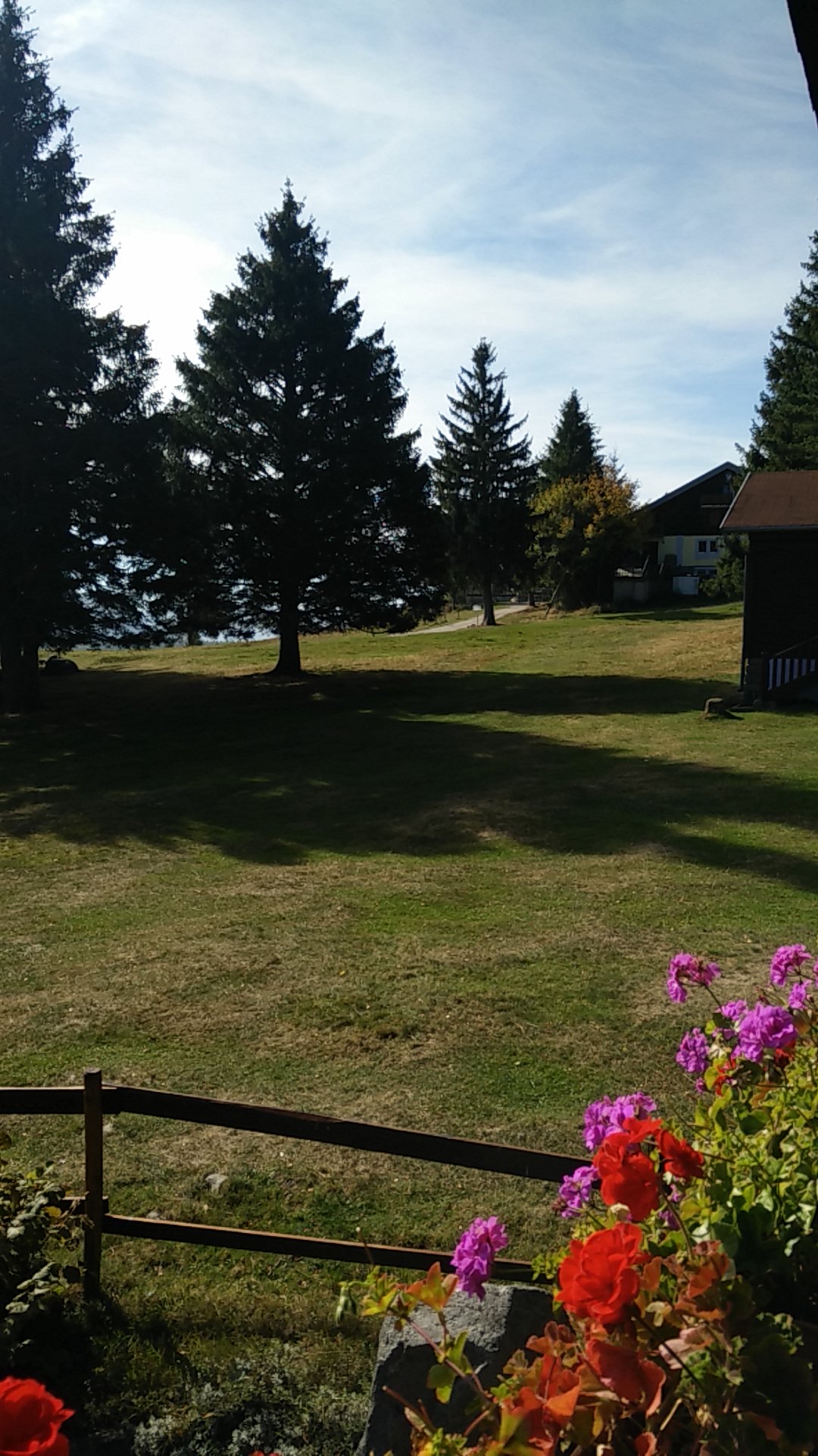 Photo n° 1 de l'avis de Luc.r fait le 09/10/2018 à 10:19