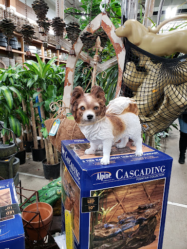 Florist «Metropolitan Plant & Flower Exchange Inc.», reviews and photos, 2125 Fletcher Ave, Fort Lee, NJ 07024, USA