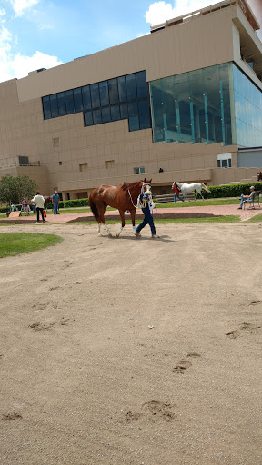 Event Venue «JACK Thistledown Racino», reviews and photos, 21501 Emery Rd, North Randall, OH 44128, USA