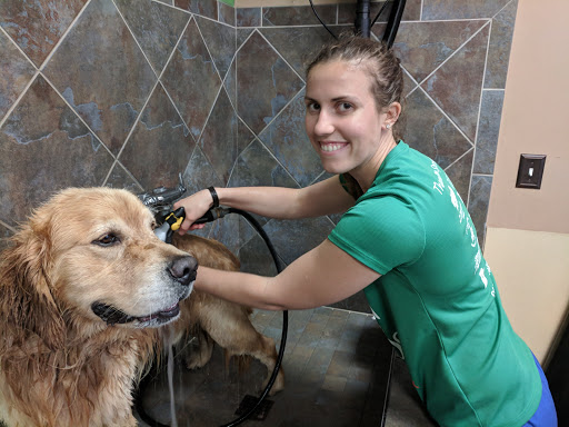 Pet Store «Pet Valu», reviews and photos, 604 Plaza Dr, Newark, DE 19702, USA