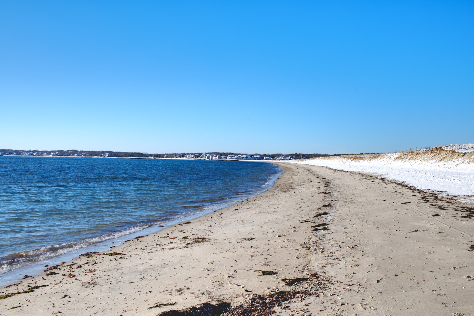 Foto von Kalmus Park Beach mit lange, gerade küste