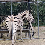 Photo n° 1 de l'avis de Marie.o fait le 25/10/2022 à 22:13 pour Zoo d'Amiens Métropole à Amiens