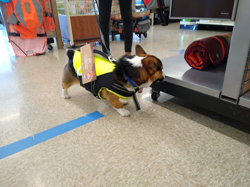 Pet Supply Store «PetSmart», reviews and photos, 248 Westminster Dr, Carlisle, PA 17013, USA