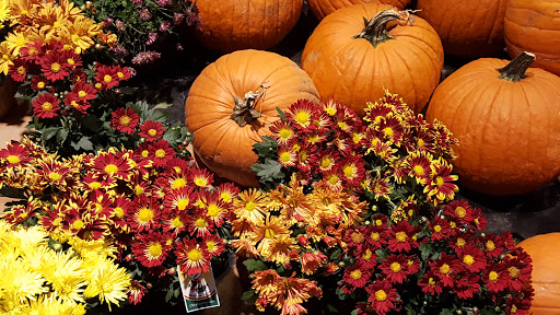 Grocery Store «City Market», reviews and photos, 711 E Cooper Ave, Aspen, CO 81611, USA