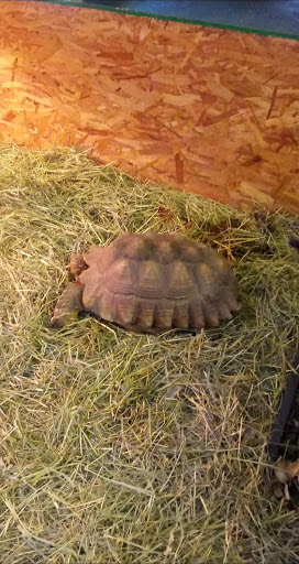 Pet Store «Off The Hook Exotics Pet Shop», reviews and photos, 926 5th Ave, Coraopolis, PA 15108, USA