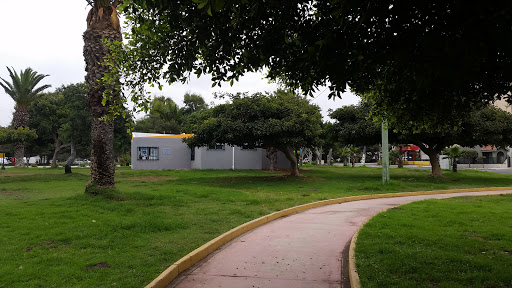 Parques para hacer picnic en Tijuana