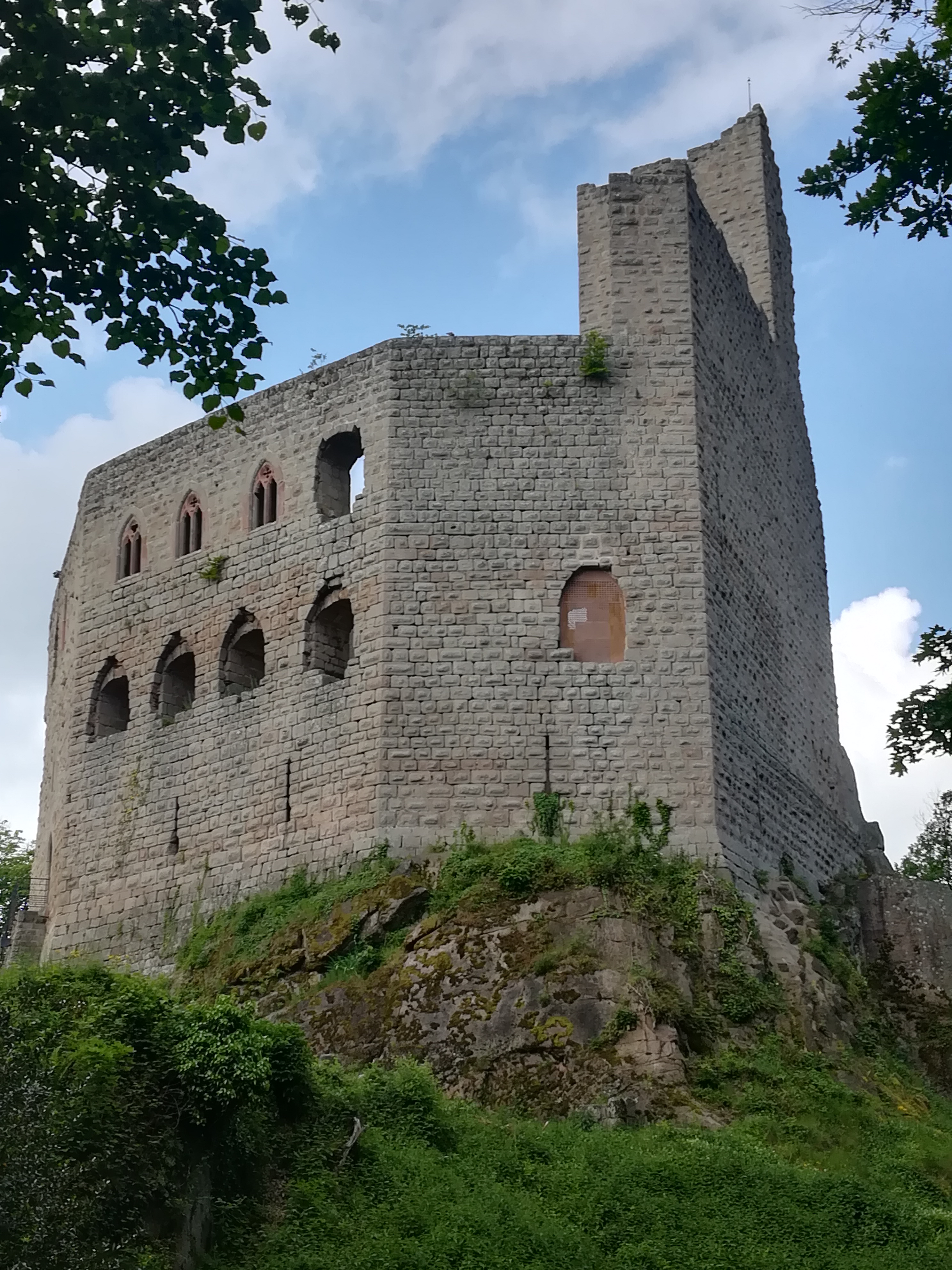 Photo n° 1 de l'avis de grigori.a fait le 31/05/2019 à 09:54