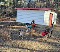 Mann's Best Friend Pet Sitting - Car repair in Greenville, SC, Greenville - Rated 4.8/5