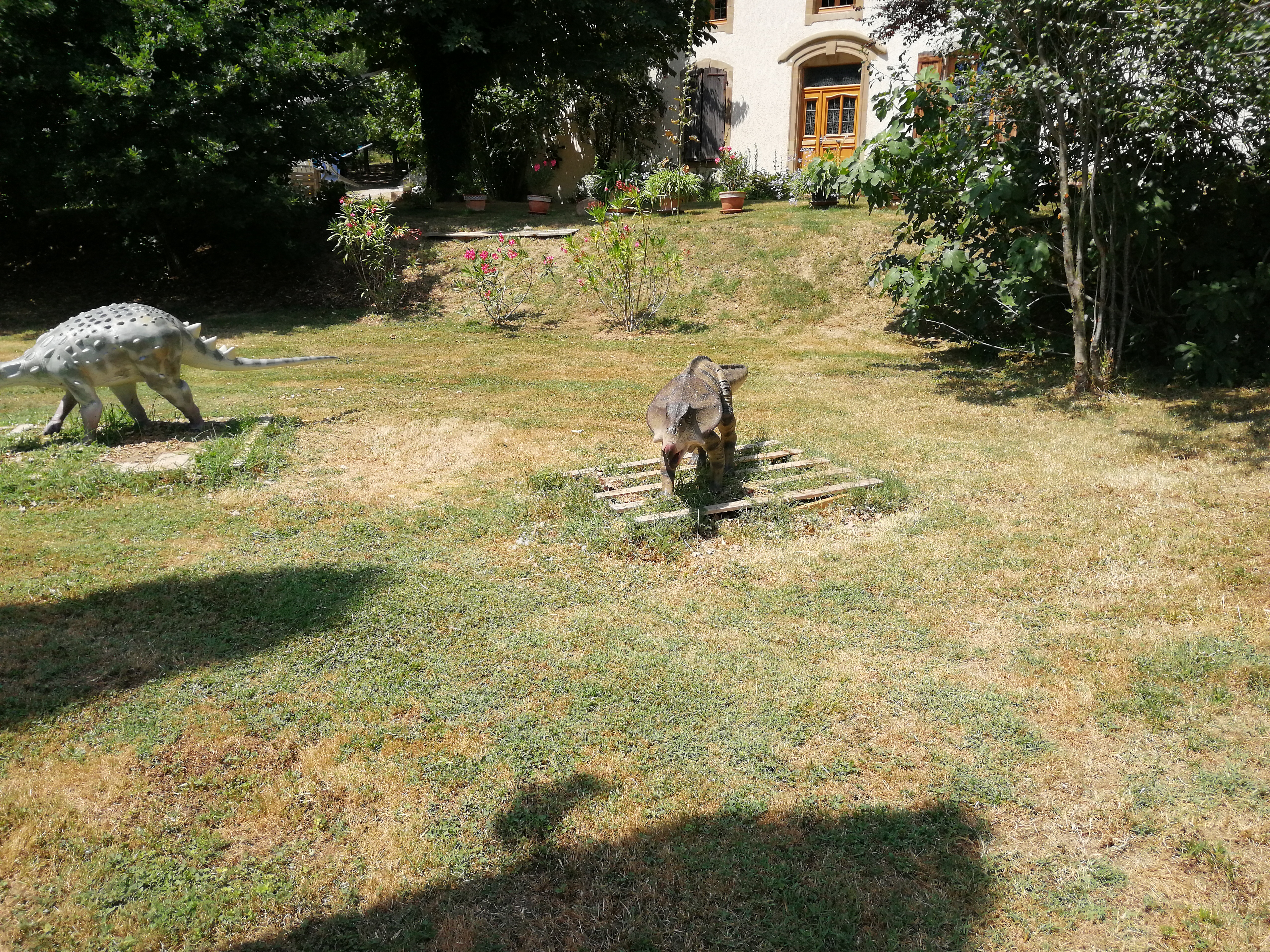 Photo n° 6 de l'avis de Nadhia.a fait le 26/07/2019 à 16:36
