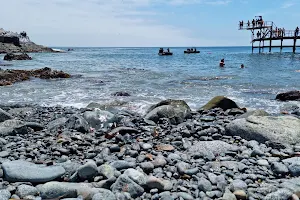 National Reserve Punta Coles image