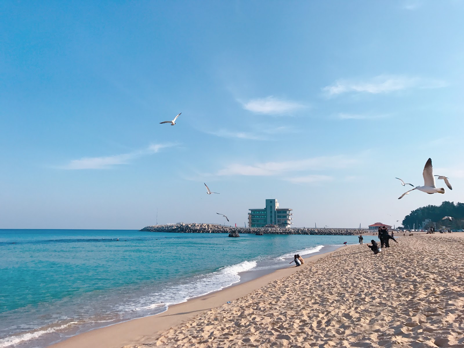 Fotografija Anmok Beach z prostorna obala