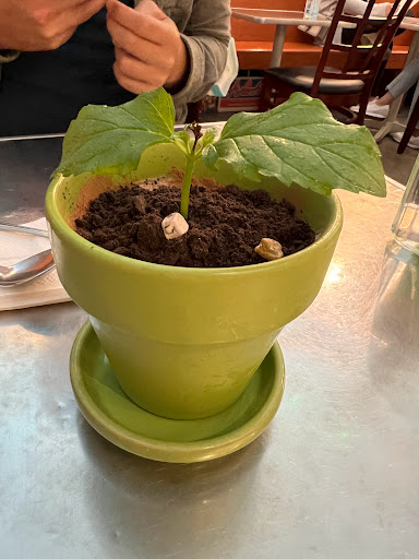 Chinese Restaurant «Dessert Republic», reviews and photos, 138 Main St, San Mateo, CA 94401, USA