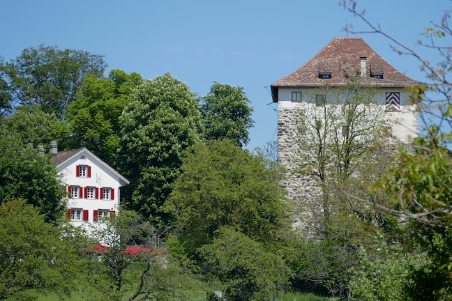 Kommentare und Rezensionen über Gasthaus Schlosshalde