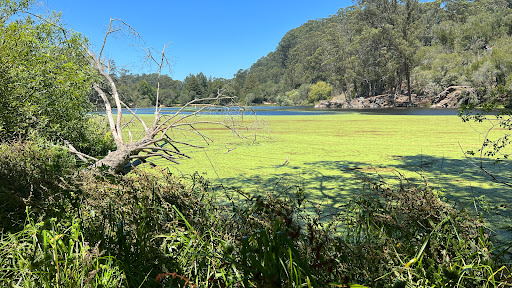 Park «Tilden Regional Park», reviews and photos, 2501 Grizzly Peak Boulevard, Orinda, CA 94563, USA