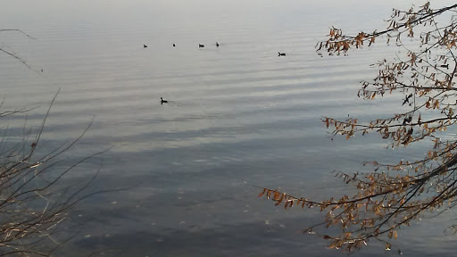 Park «Hudson Park», reviews and photos, 2919 Lakeland Ave, Madison, WI 53704, USA