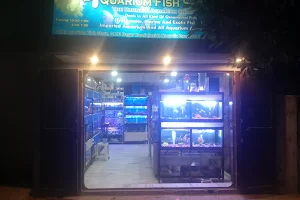 Aquarium Fish Store - The Ultimate Aquarium Showroom image