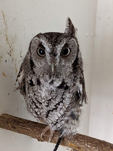 Nature Preserve «DeGraaf Nature Center», reviews and photos, 600 Graafschap Rd, Holland, MI 49423, USA