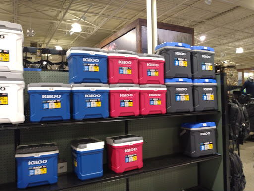 Outdoor Sports Store «Field & Stream», reviews and photos, 870 Walt Whitman Rd Ste B, Melville, NY 11747, USA