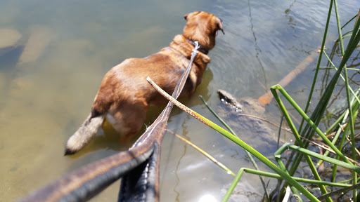 Pet Store «Kahoots Pet Store», reviews and photos, 2616 El Camino Real, Carlsbad, CA 92008, USA