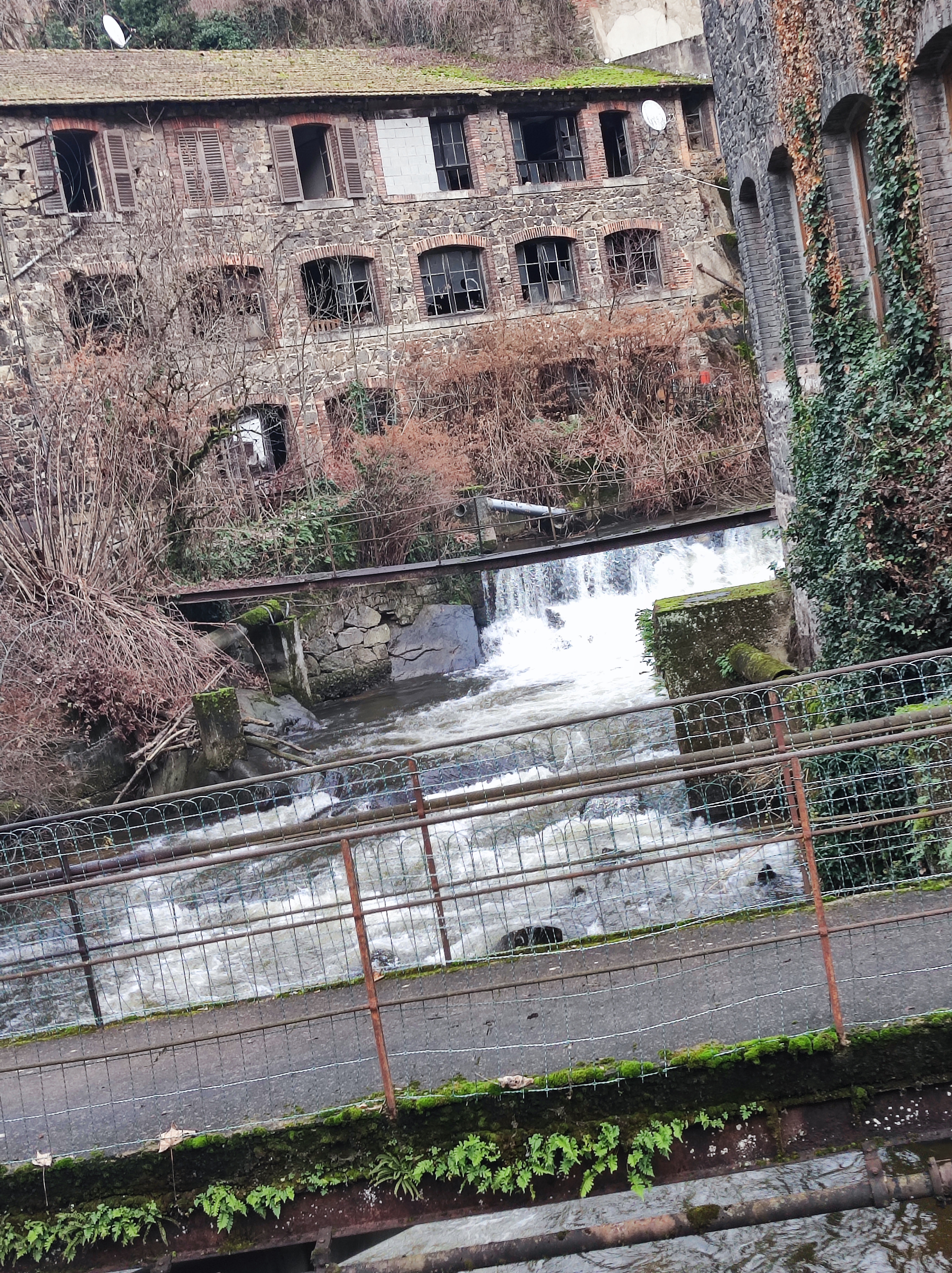 Photo n° 1 de l'avis de SoOrkid. fait le 28/12/2023 à 17:28