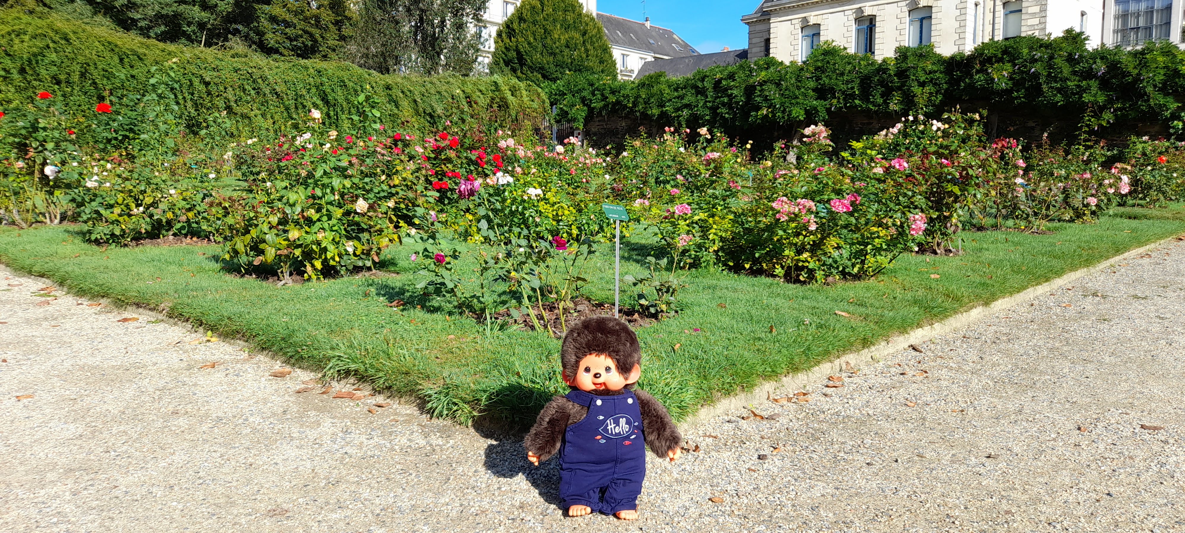 Photo n° 10 de l'avis de Anita.u fait le 29/09/2022 à 18:43