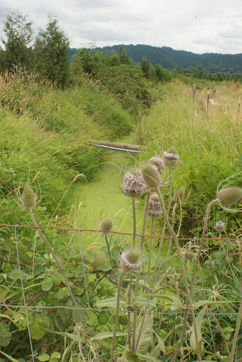 Farm «Bella Organic Farm», reviews and photos, 16205 NW Gillihan Rd, Portland, OR 97231, USA