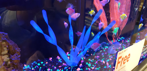 Pet Supply Store «Petco Animal Supplies», reviews and photos, 891 NE D St, Grants Pass, OR 97526, USA