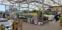 Lowe's Garden Center - Photo 4 - Car repair in Tampa, FL, Clearwater