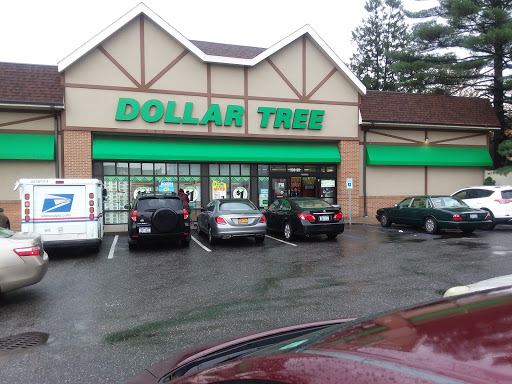 Dollar Store «Dollar Tree», reviews and photos, 250 Jericho Turnpike #80, Floral Park, NY 11001, USA