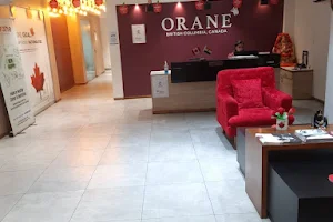 Orane International School of Beauty & Wellness Phagwara image