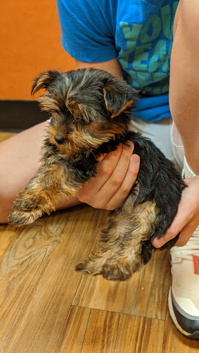 Pet Store «Fetch Pet Store», reviews and photos, 2700 Miamisburg Centerville Rd, Dayton, OH 45459, USA